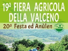 Immagine testata